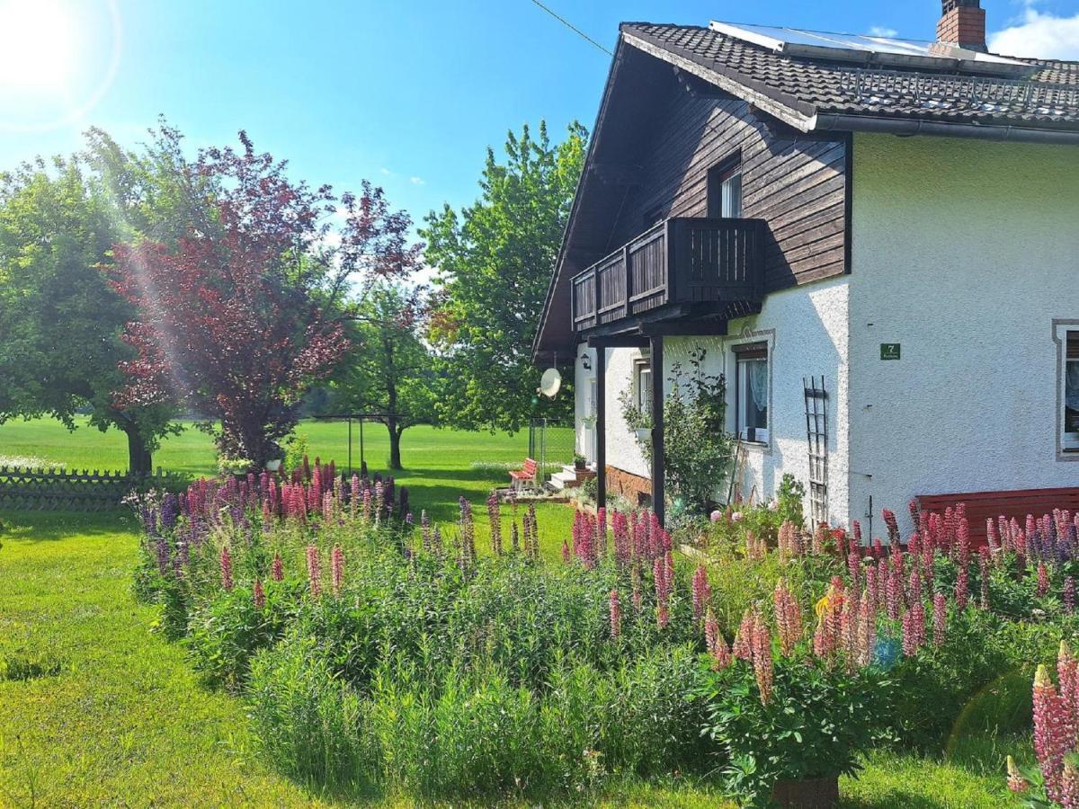 Pension Schneider Frauenau Exterior photo