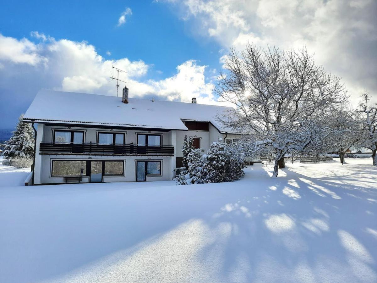 Pension Schneider Frauenau Exterior photo